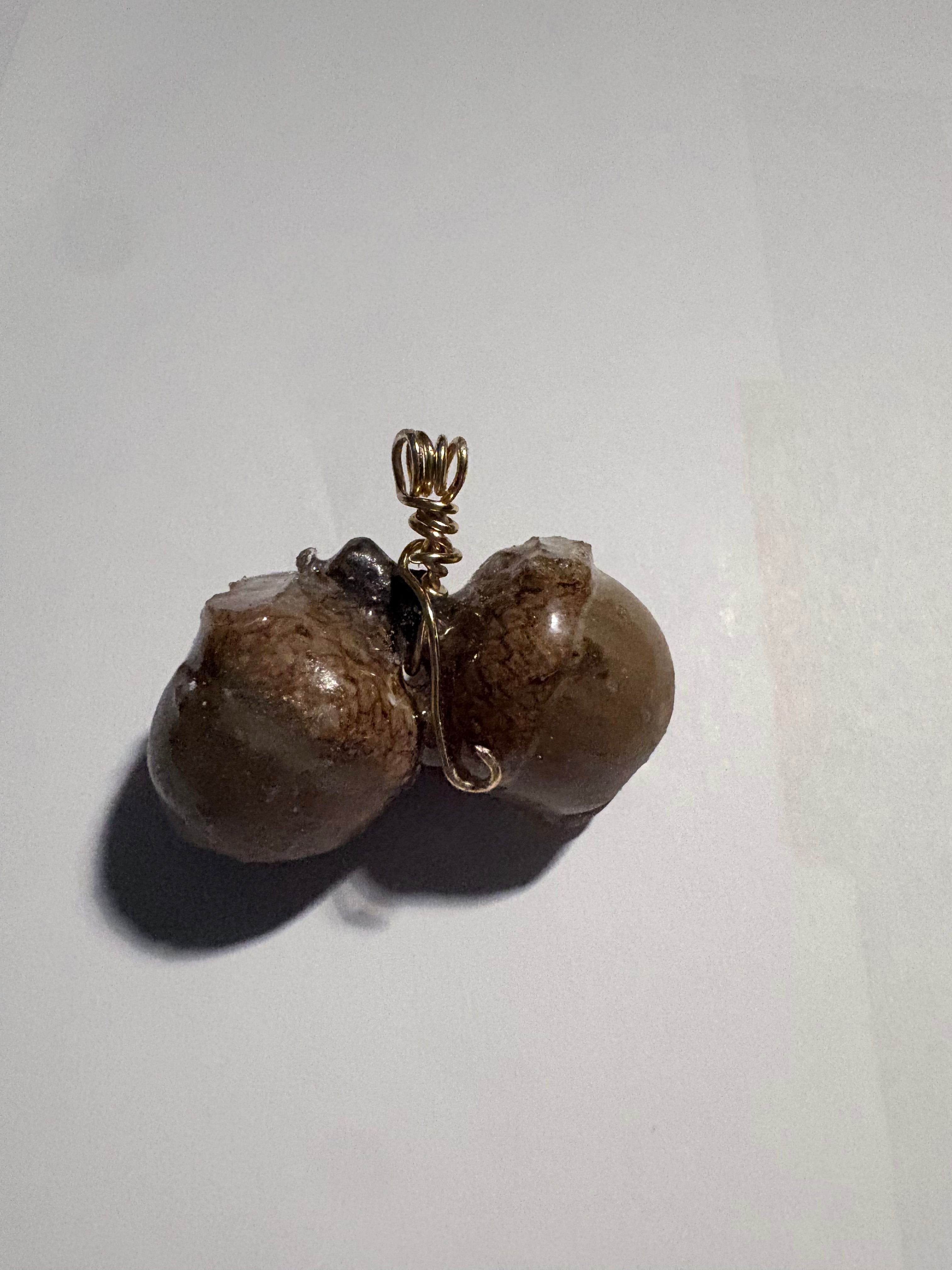 Acorn Treasure Pendant | Woodland Acorn in Resin Necklace