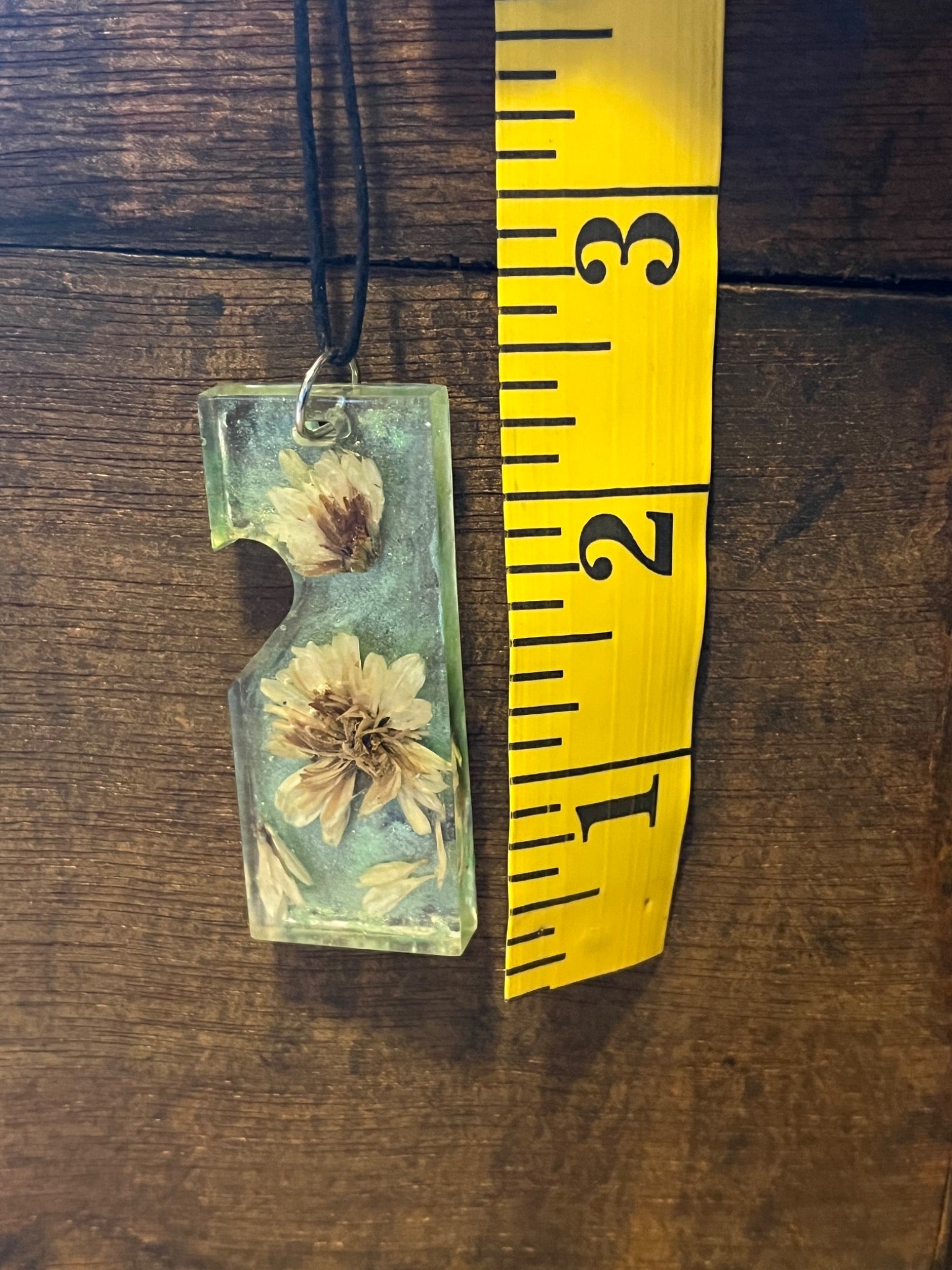Real Daisy Resin Necklace | Botanical Flower Pendant | Nature Inspired Jewelry