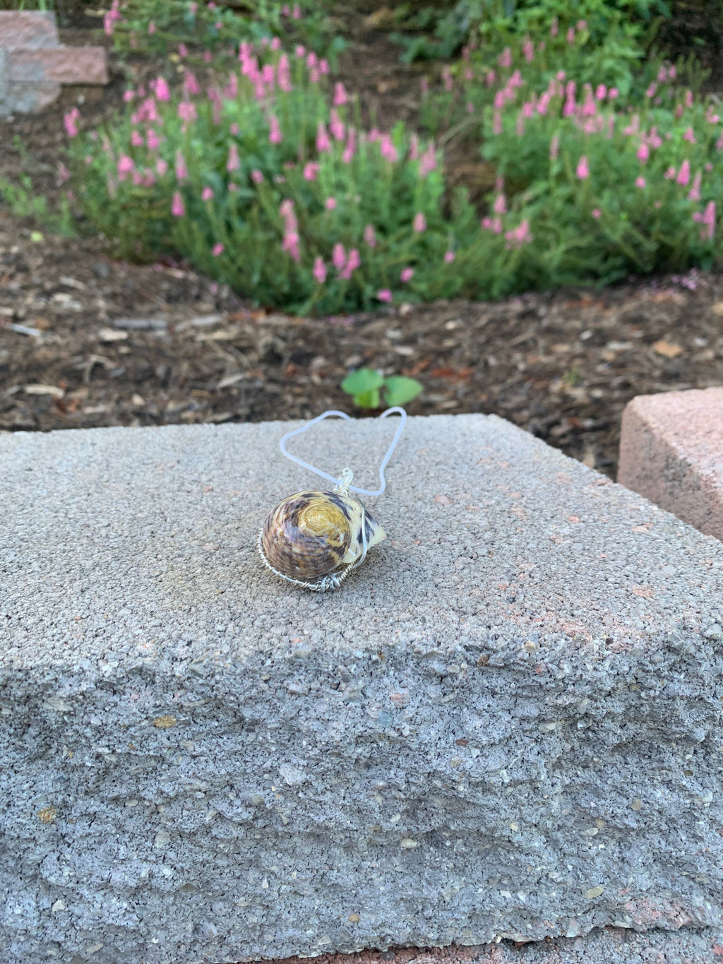 Wire Wrapped Shell Necklace | Turban Seashell Pendant