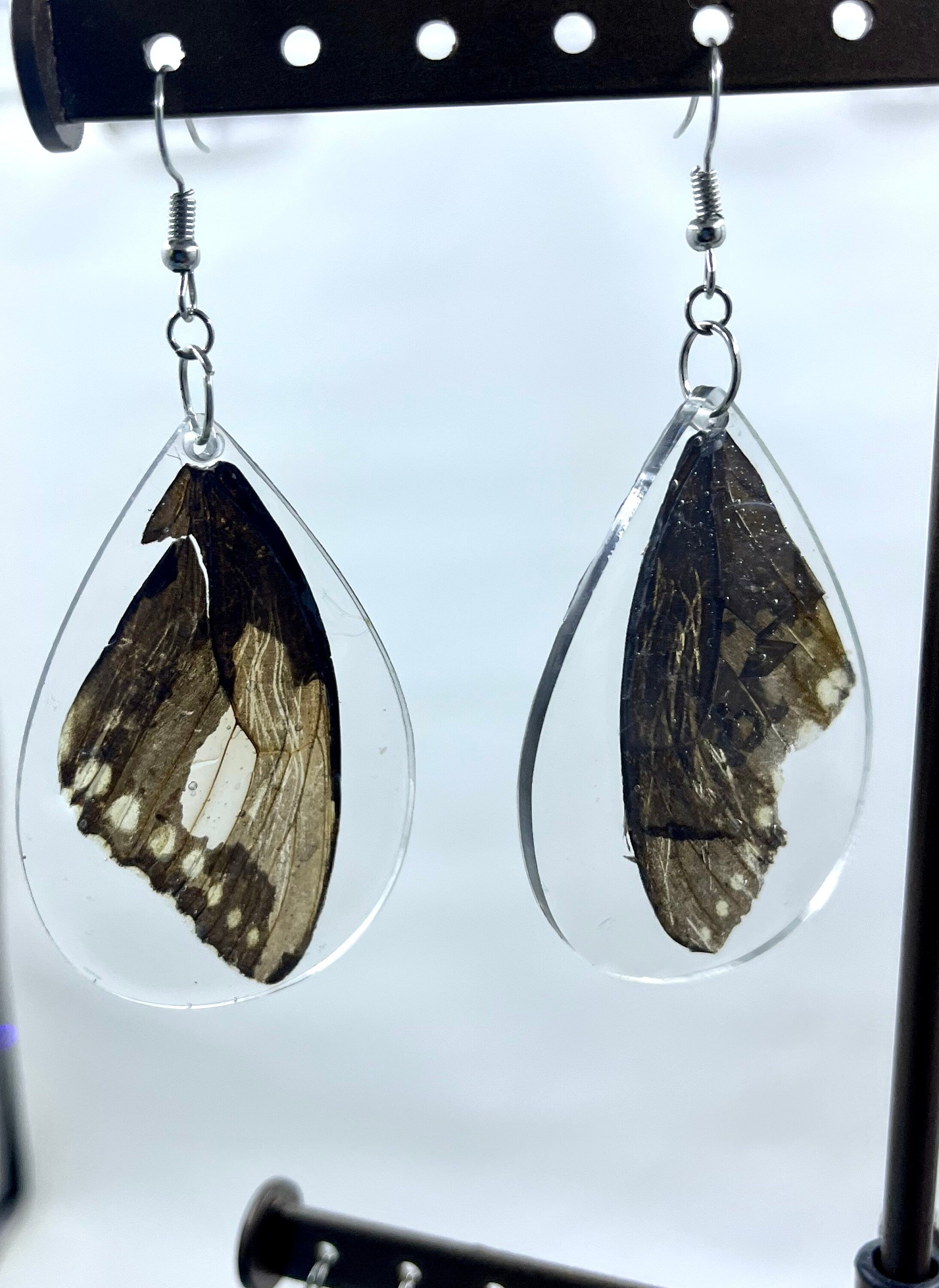 Butterfly Wing Earrings, Butterfly Wings in Resin Accessories, Real Swallowtail Butterfly Wing Jewelry, Unique Cottage Core Gift for Her