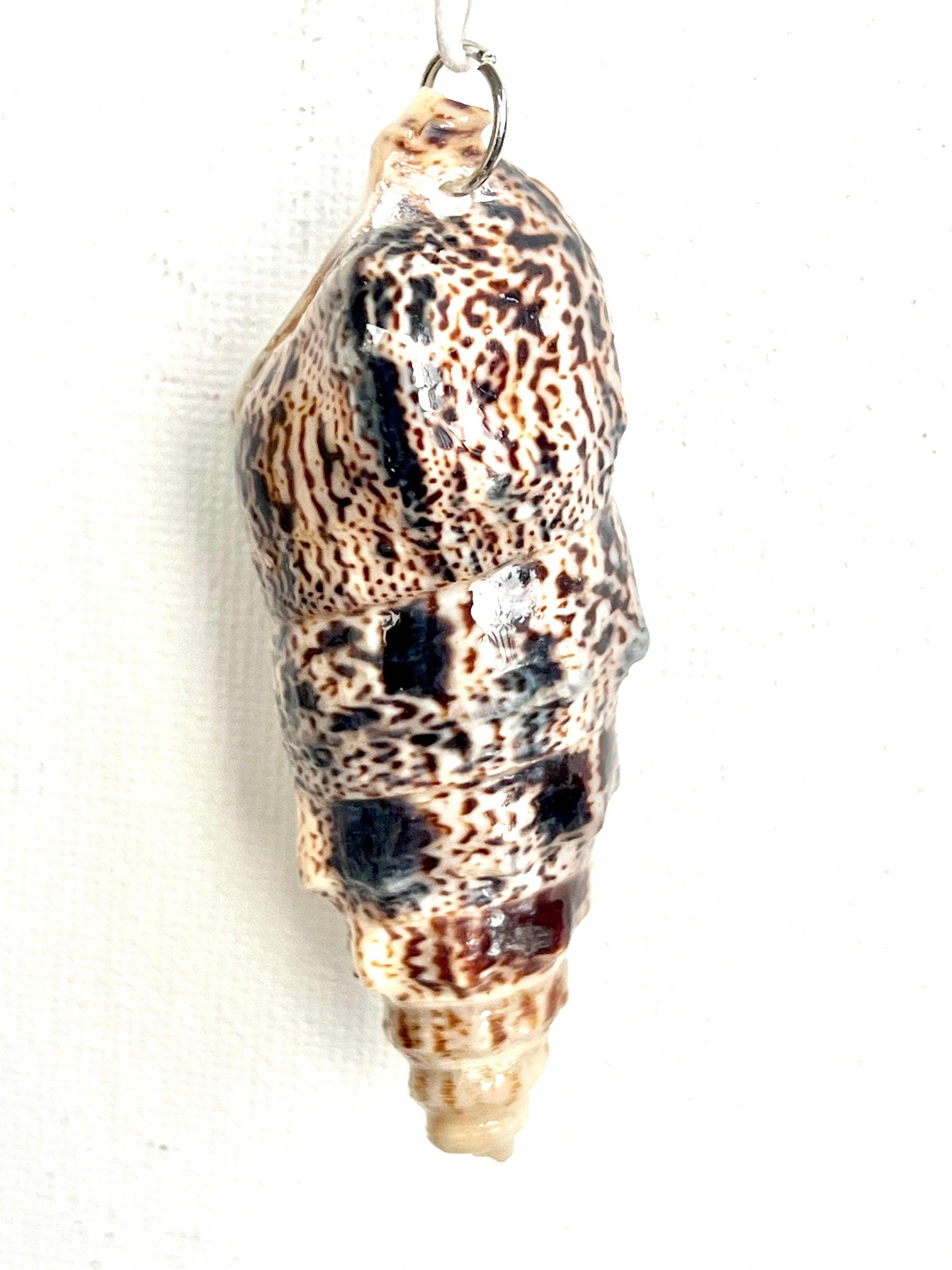 Bat Volute Shell Pendant Necklace, Intricate Pattern Seashell Jewelry, Bridesmaid Gifts, Beach Wedding, Gift for Beach Lover, Boho Style