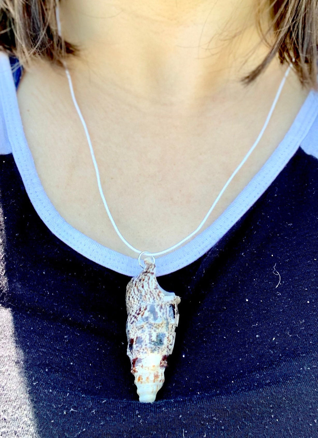 Shell Necklace | Bat Volute Seashell Pendant