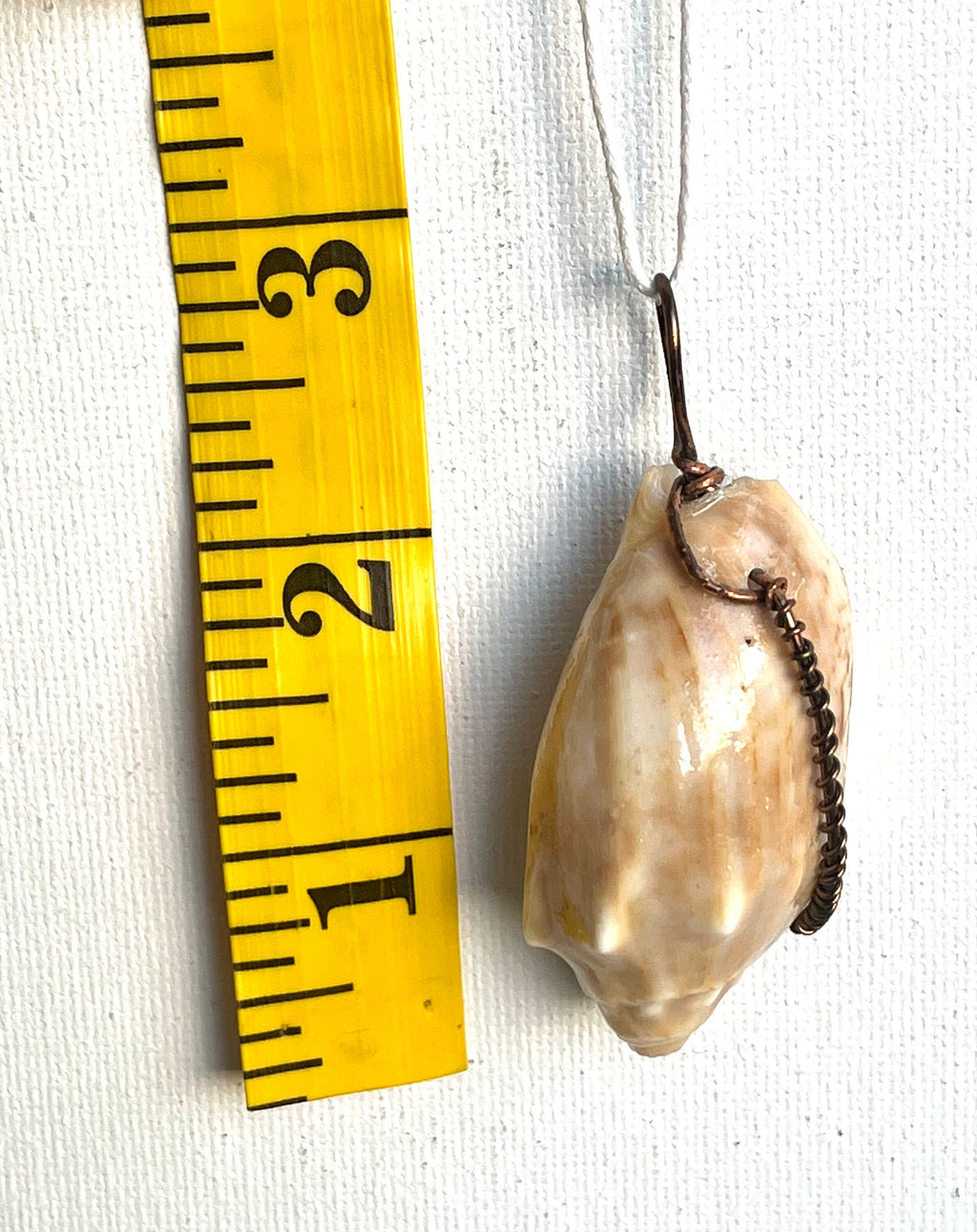 Wire Wrapped Orange Shell Pendant, One of a Kind Simple Wire Wrap Seashell Necklace, Beach Lover's Dream, Bronze Wire Wrap Authentic Shell