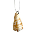 Shell pendant on a white background