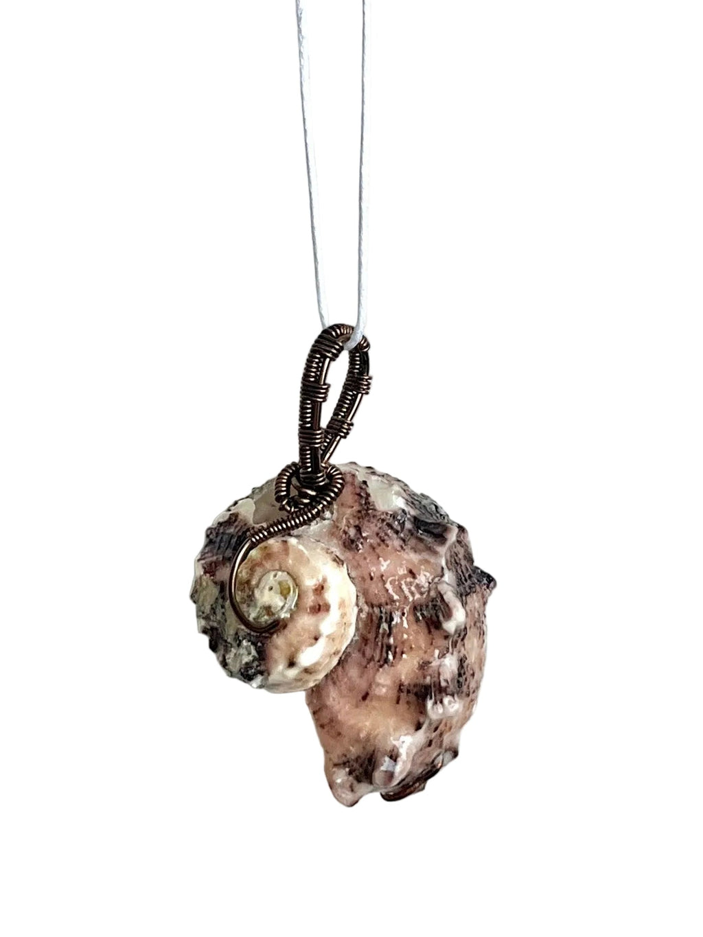 Shell pendant on a white cord against a white background