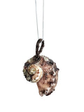 Shell pendant on a white cord against a white background