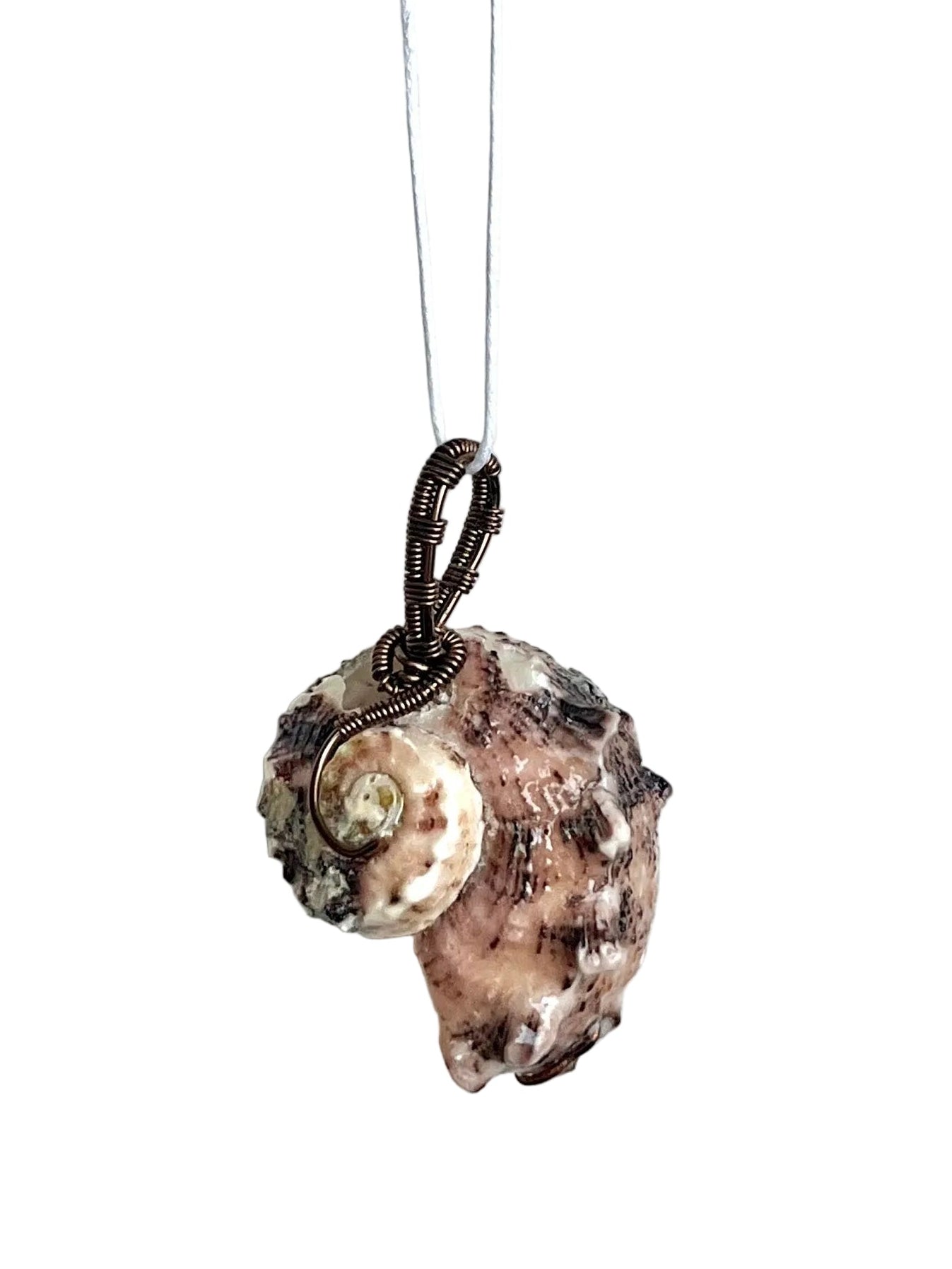 Shell pendant on a white cord against a white background
