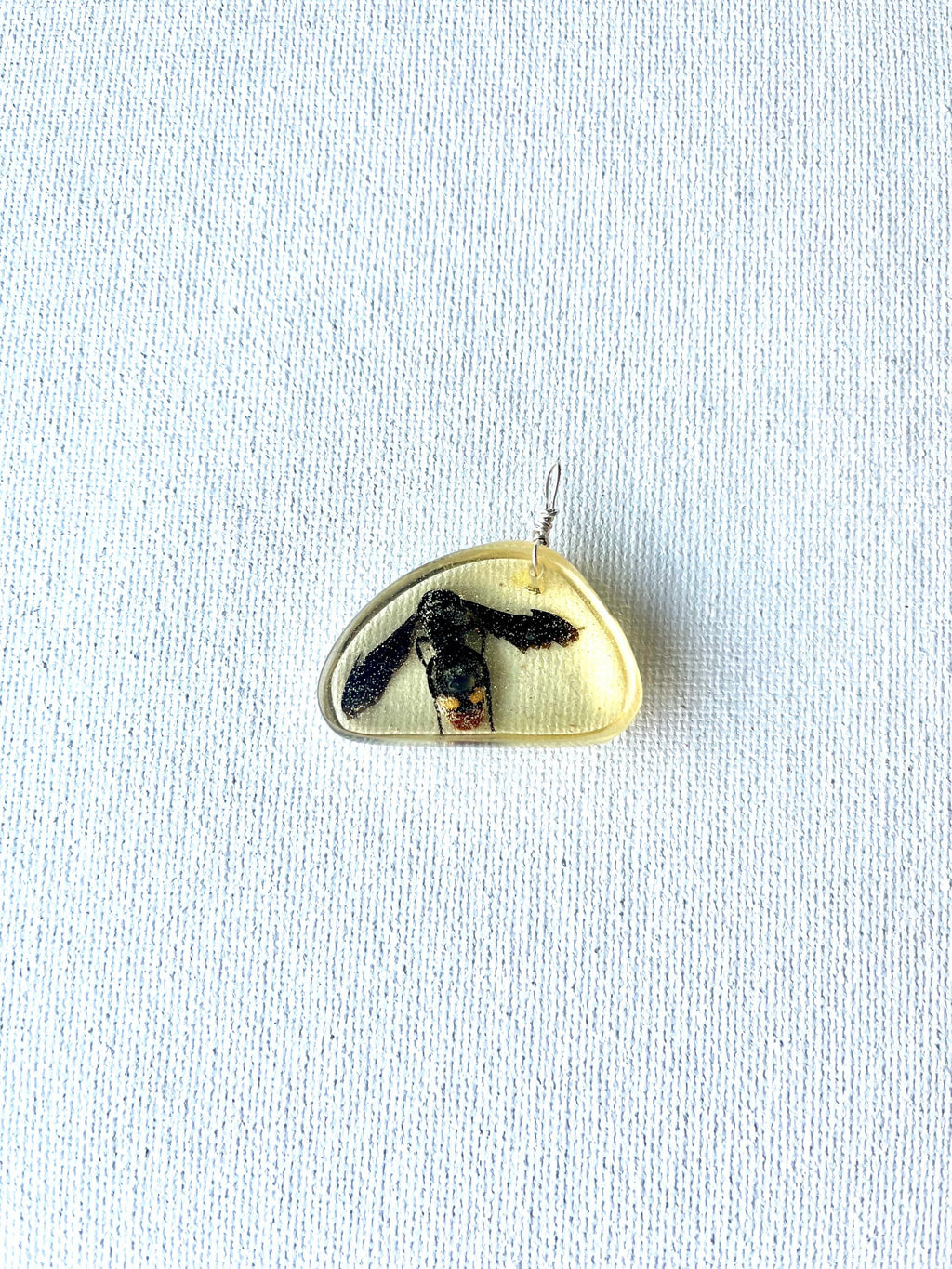 Bee in Resin Pendant Necklace, Nature Inspired Jewelry, Blue Winged Wasp in Resin Pendant, Gift for Bee Lover, Beekeeper