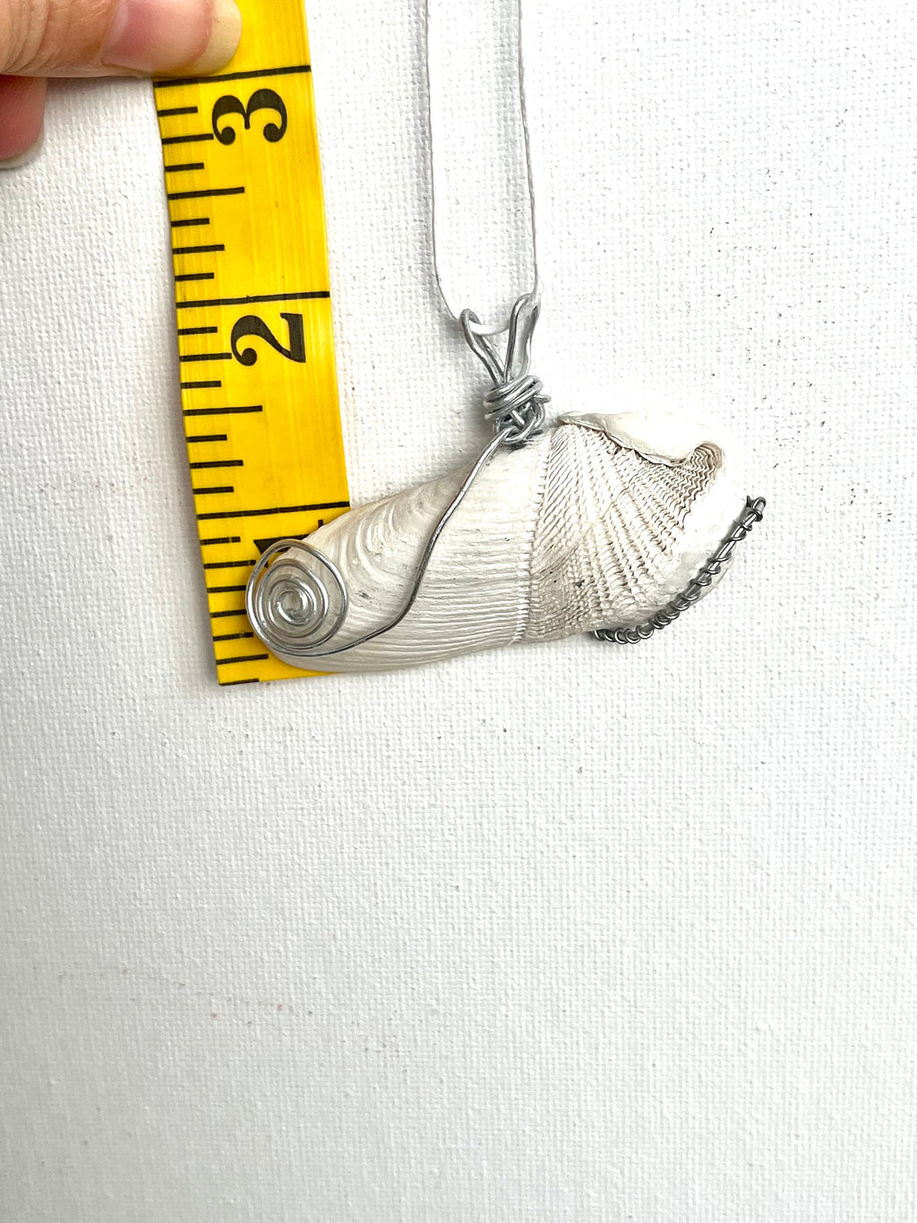 Dual Nature Shell Pendant | Split Tide Pattern Seashell Necklace