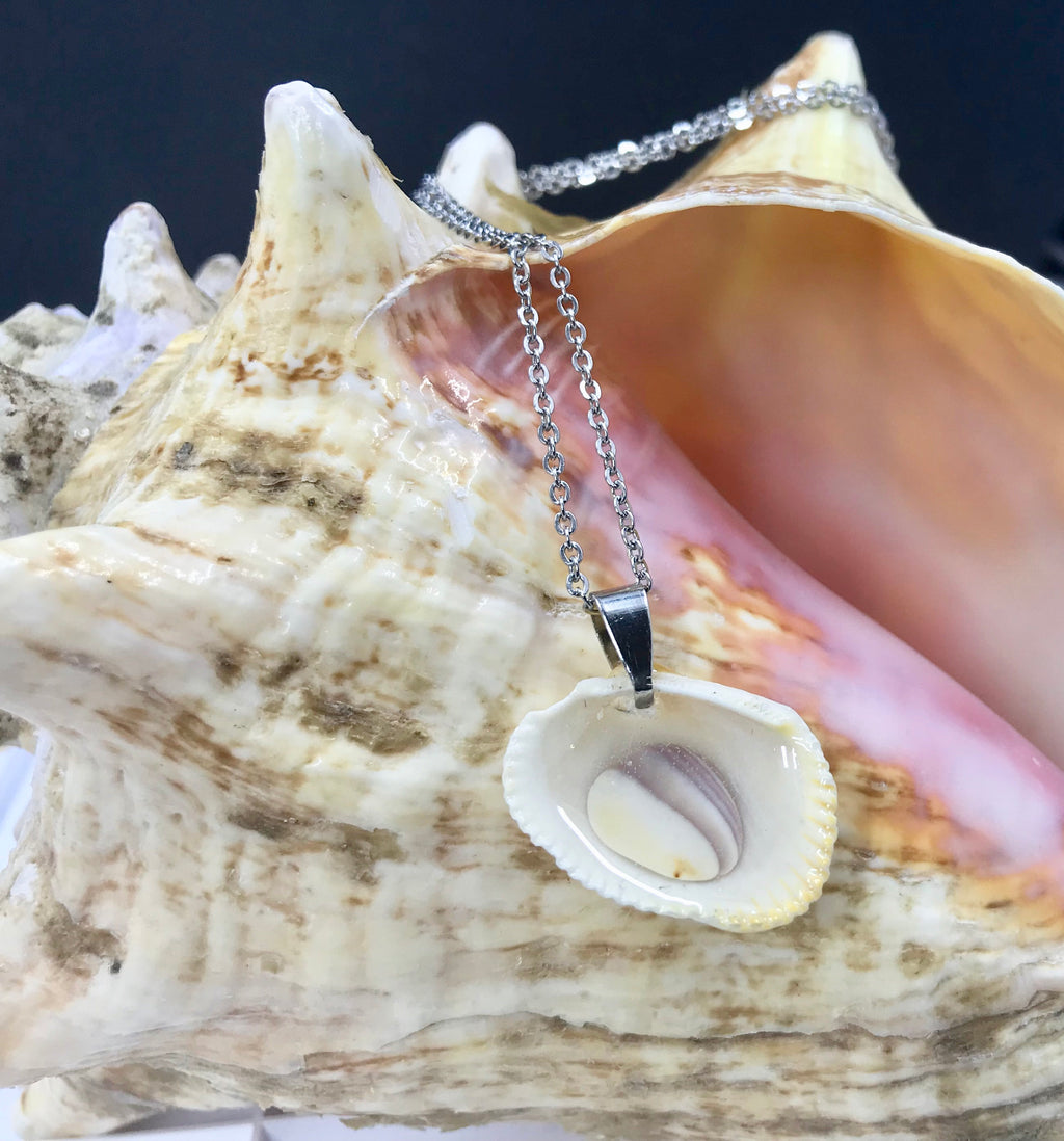 Seashell and Resin Pendant | Seashell Jewelry