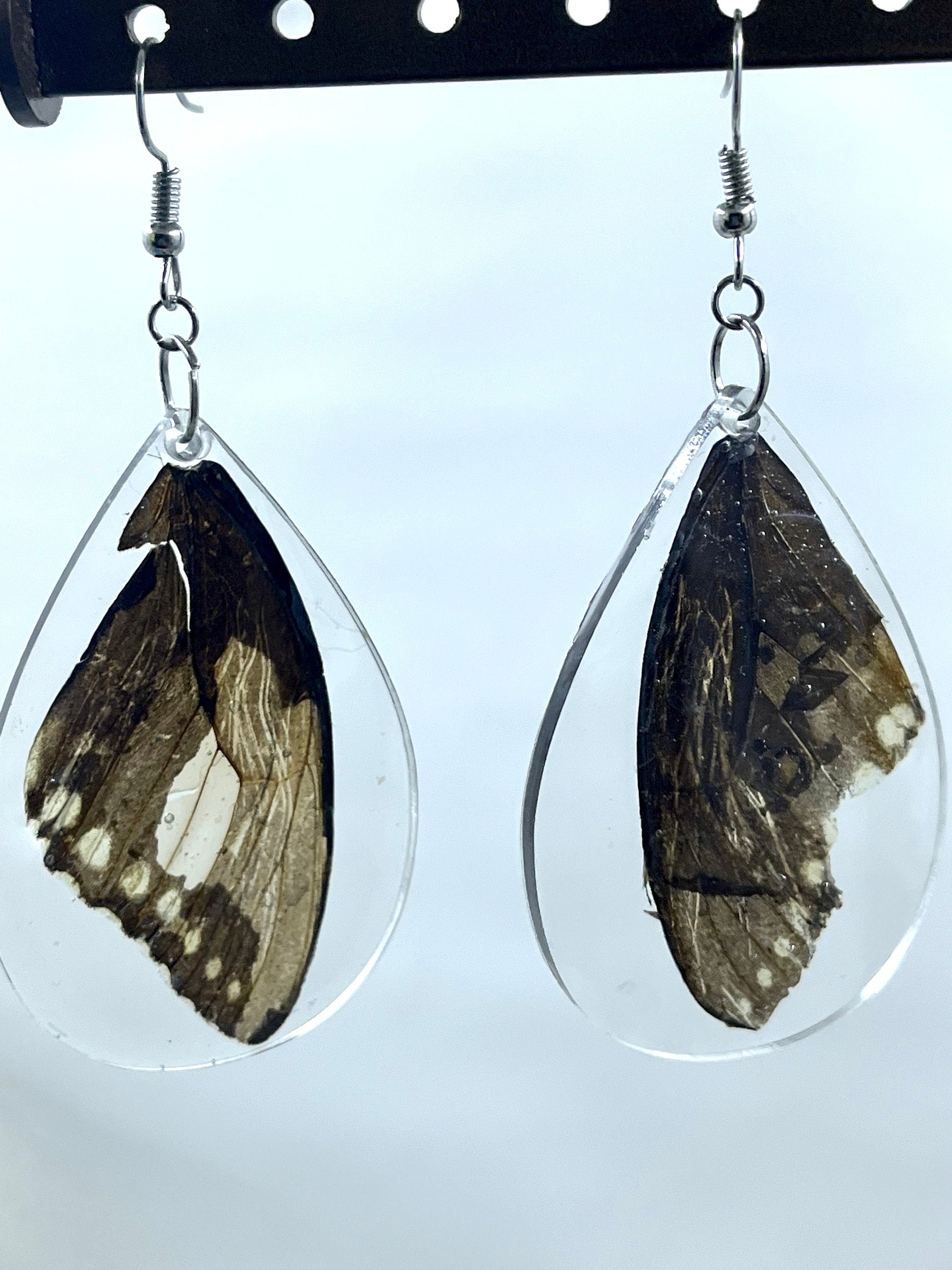 Teardrop-shaped butterfly wing earrings on a clear background