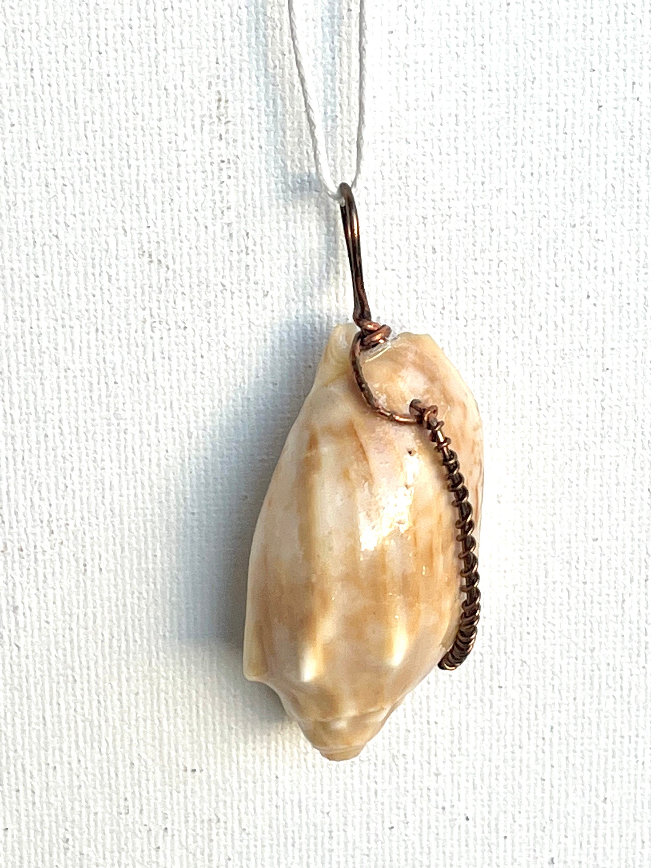 Wire Wrapped Orange Shell Pendant, One of a Kind Simple Wire Wrap Seashell Necklace, Beach Lover's Dream, Bronze Wire Wrap Authentic Shell