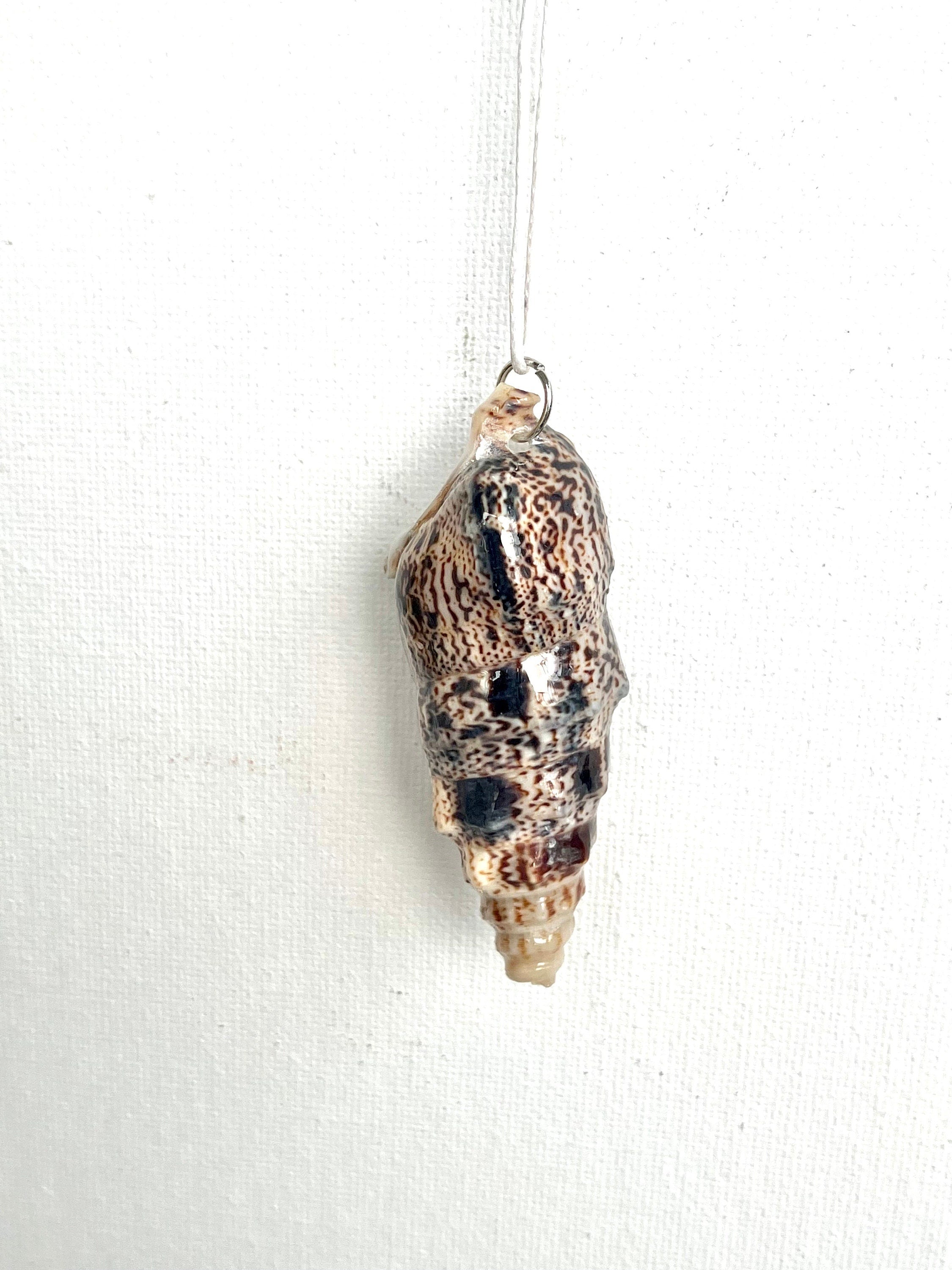 Bat Volute Shell Pendant Necklace, Intricate Pattern Seashell Jewelry, Bridesmaid Gifts, Beach Wedding, Gift for Beach Lover, Boho Style