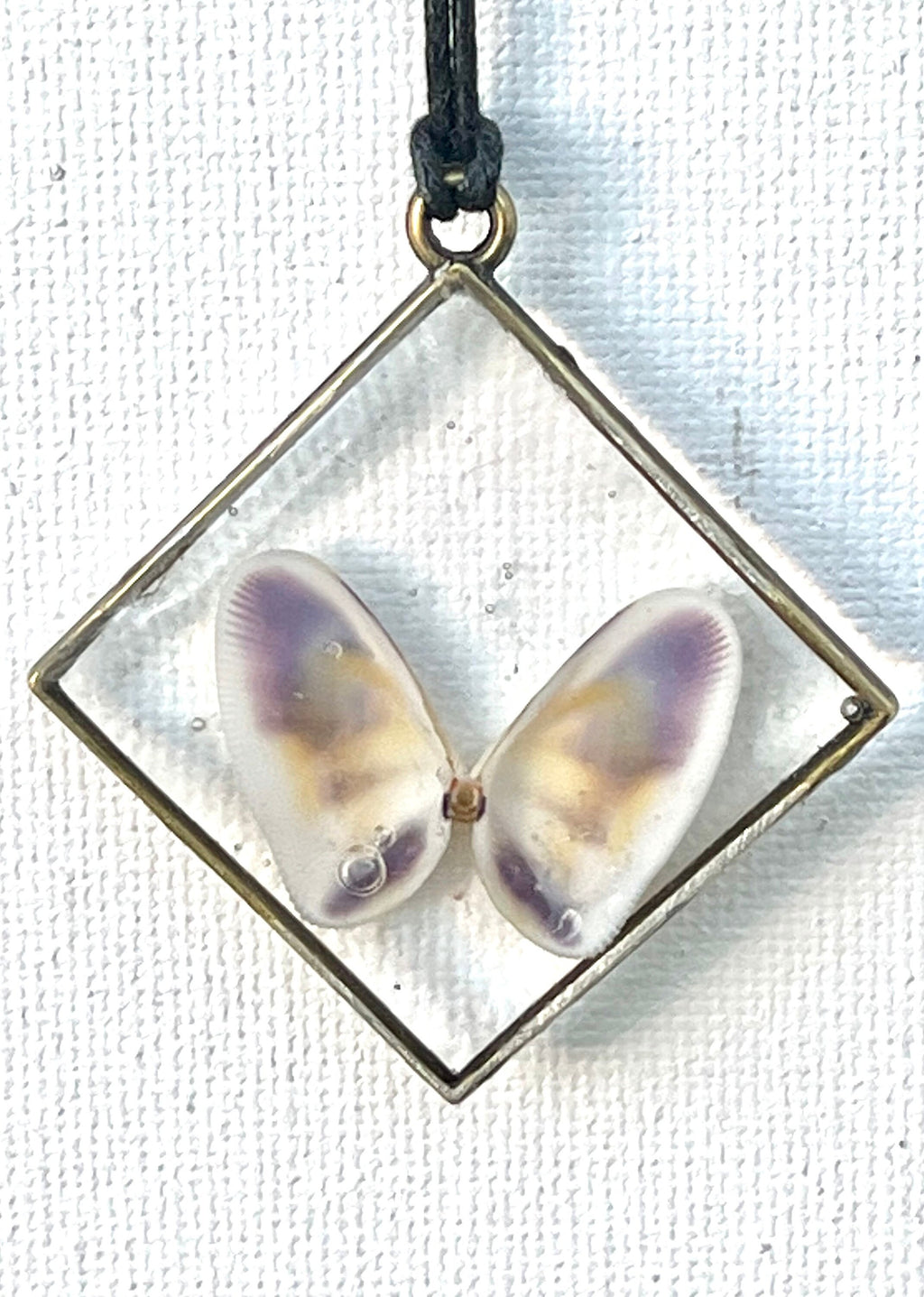 Oyster Shells in Resin Necklace | Butterfly Seashell Pendant