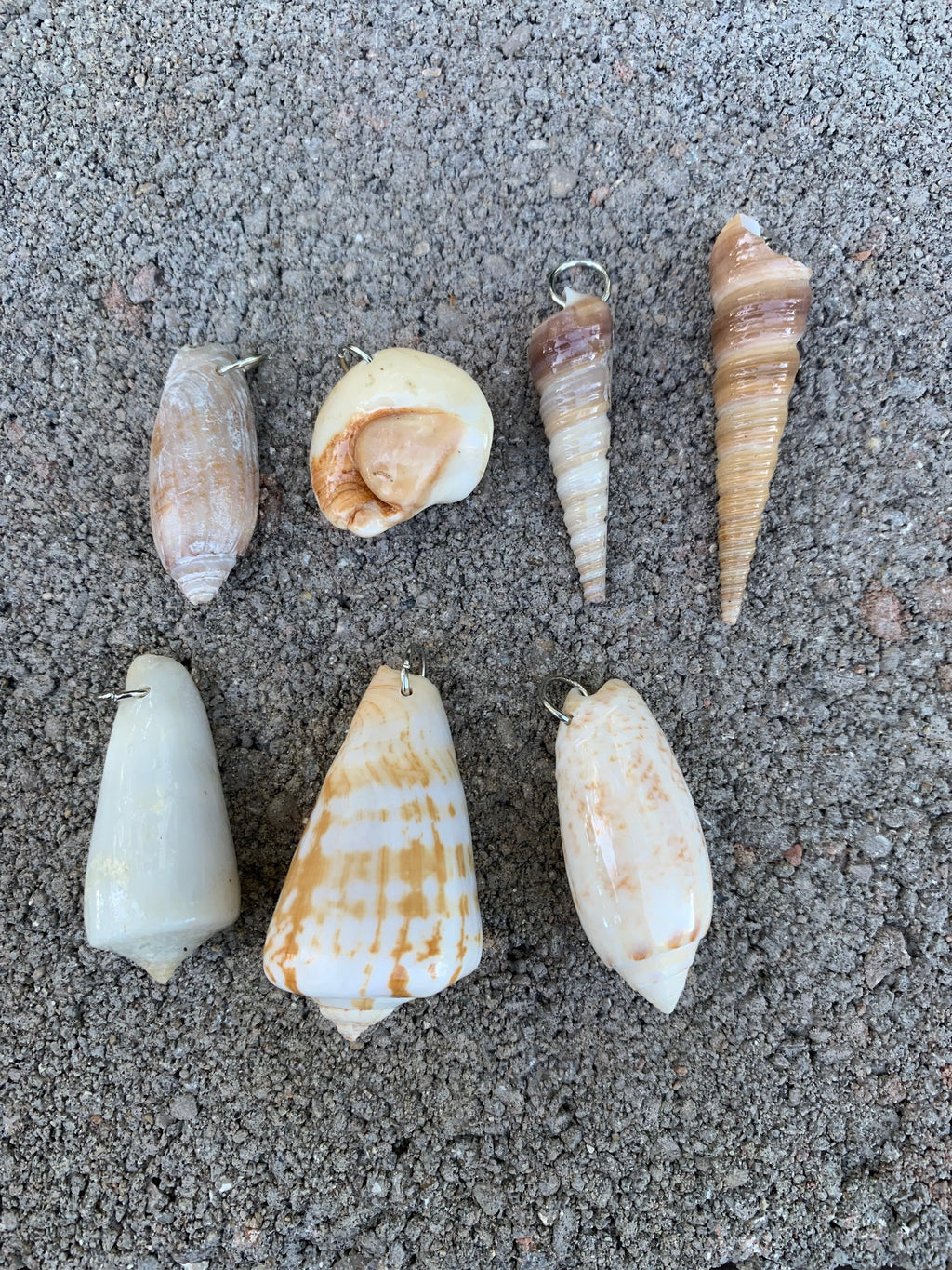 Seashell Necklace | Resin Coated Auger Shell Pendant