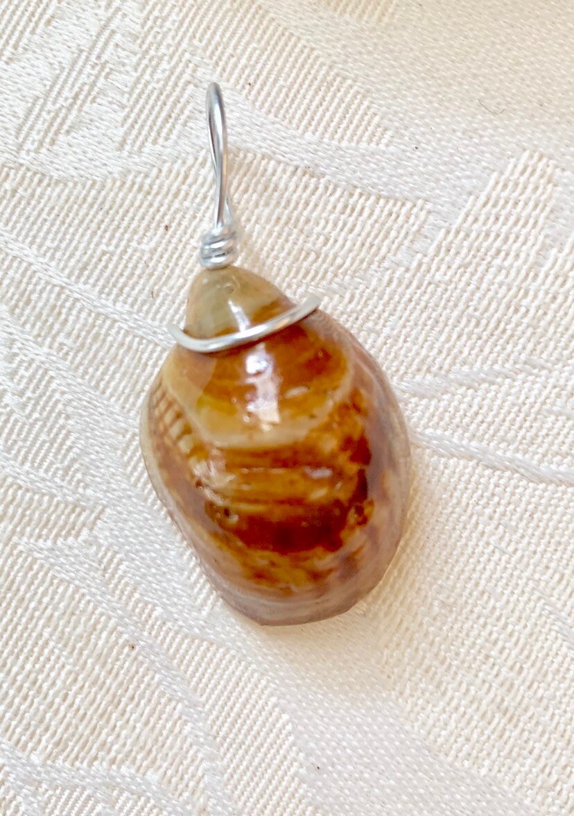 Wire Wrapped Slipper Shell Pendant, Resin Seashell Jewelry, Ocean Inspired Necklace, Beach Jewelry, Gift for Beach Lover