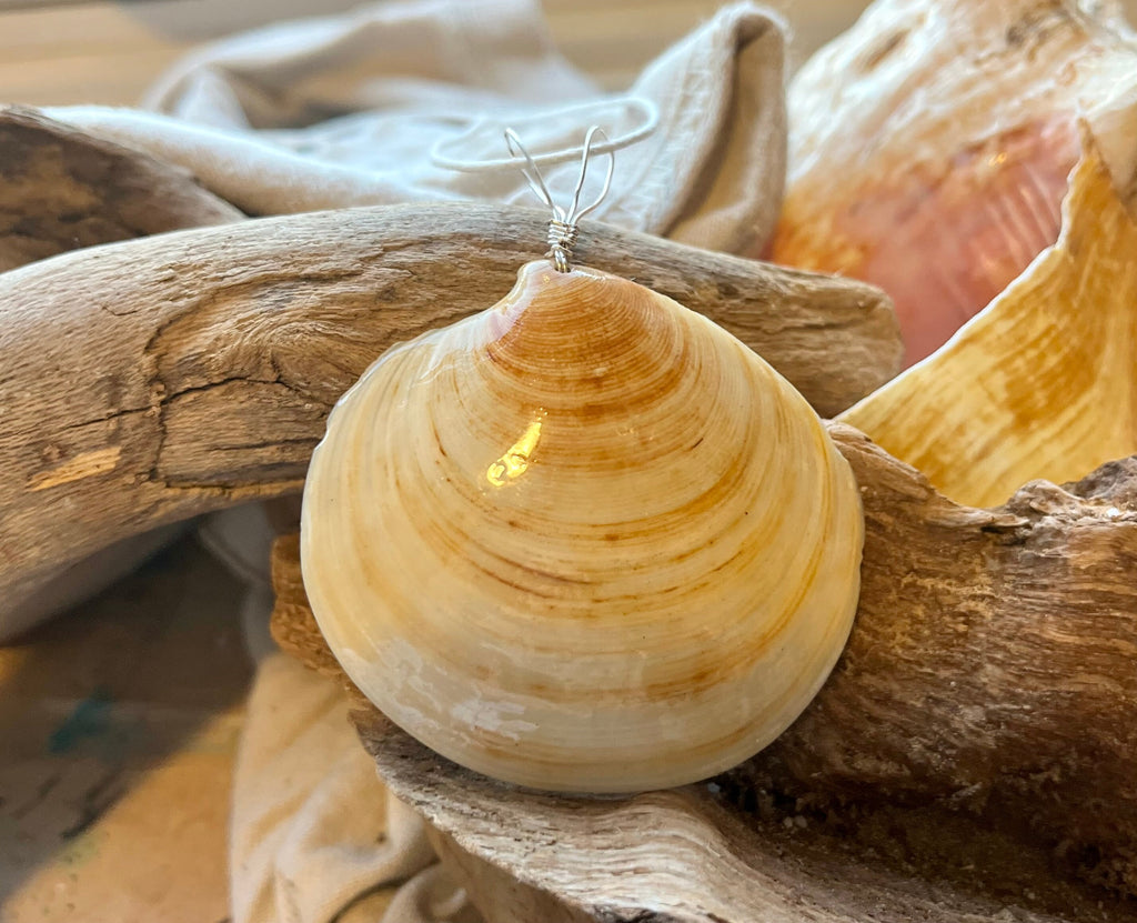 Shell Necklace | Minimalist Seashell Pendant