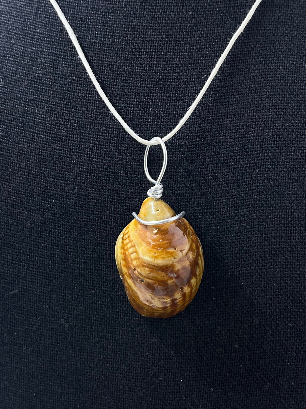 Wire Wrapped Slipper Shell Pendant, Resin Seashell Jewelry, Ocean Inspired Necklace, Beach Jewelry, Gift for Beach Lover