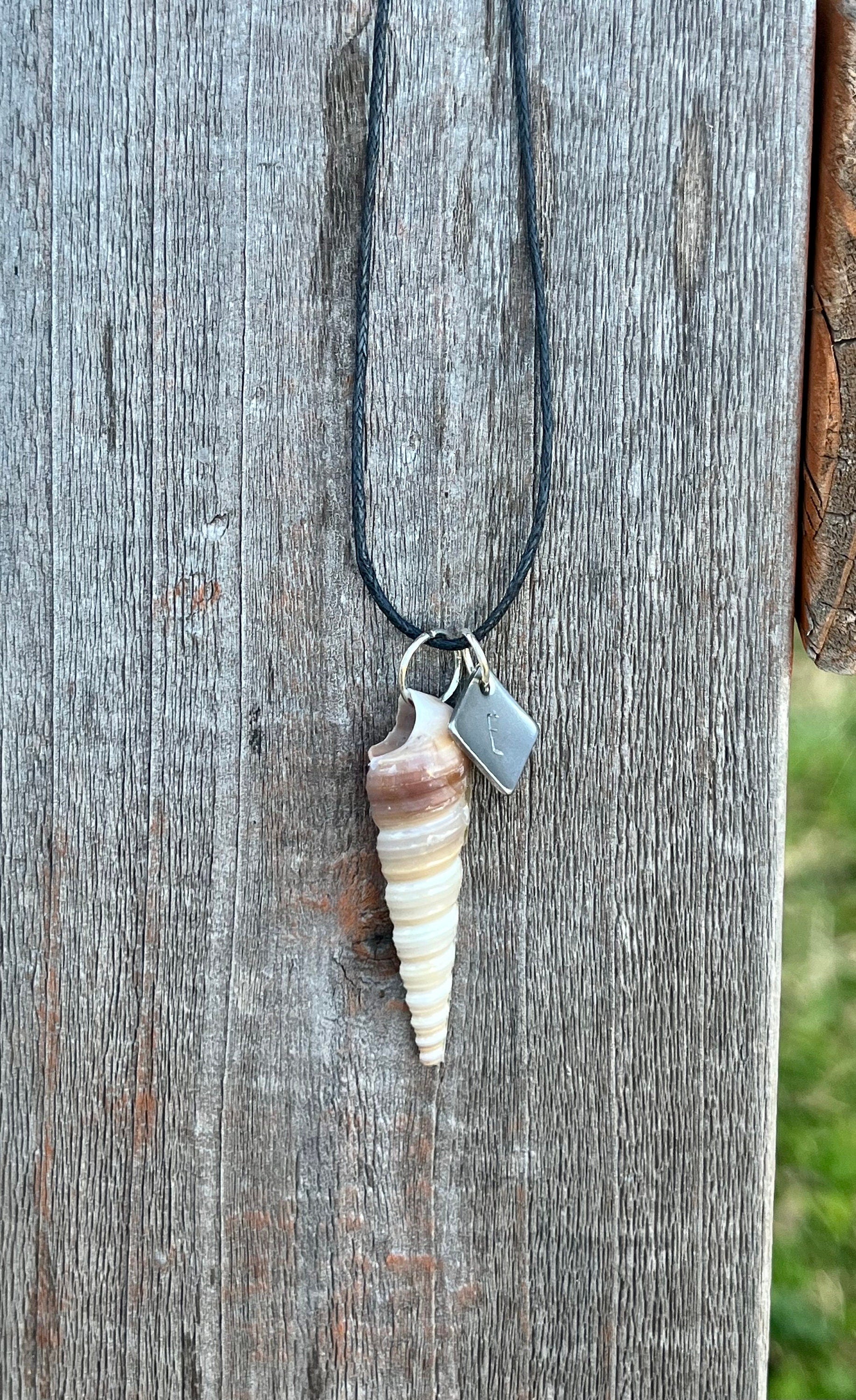 Seashell Necklace | Resin Coated Auger Shell Pendant