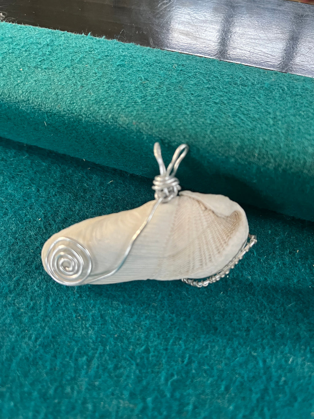 Dual Nature Shell Pendant | Split Tide Pattern Seashell Necklace