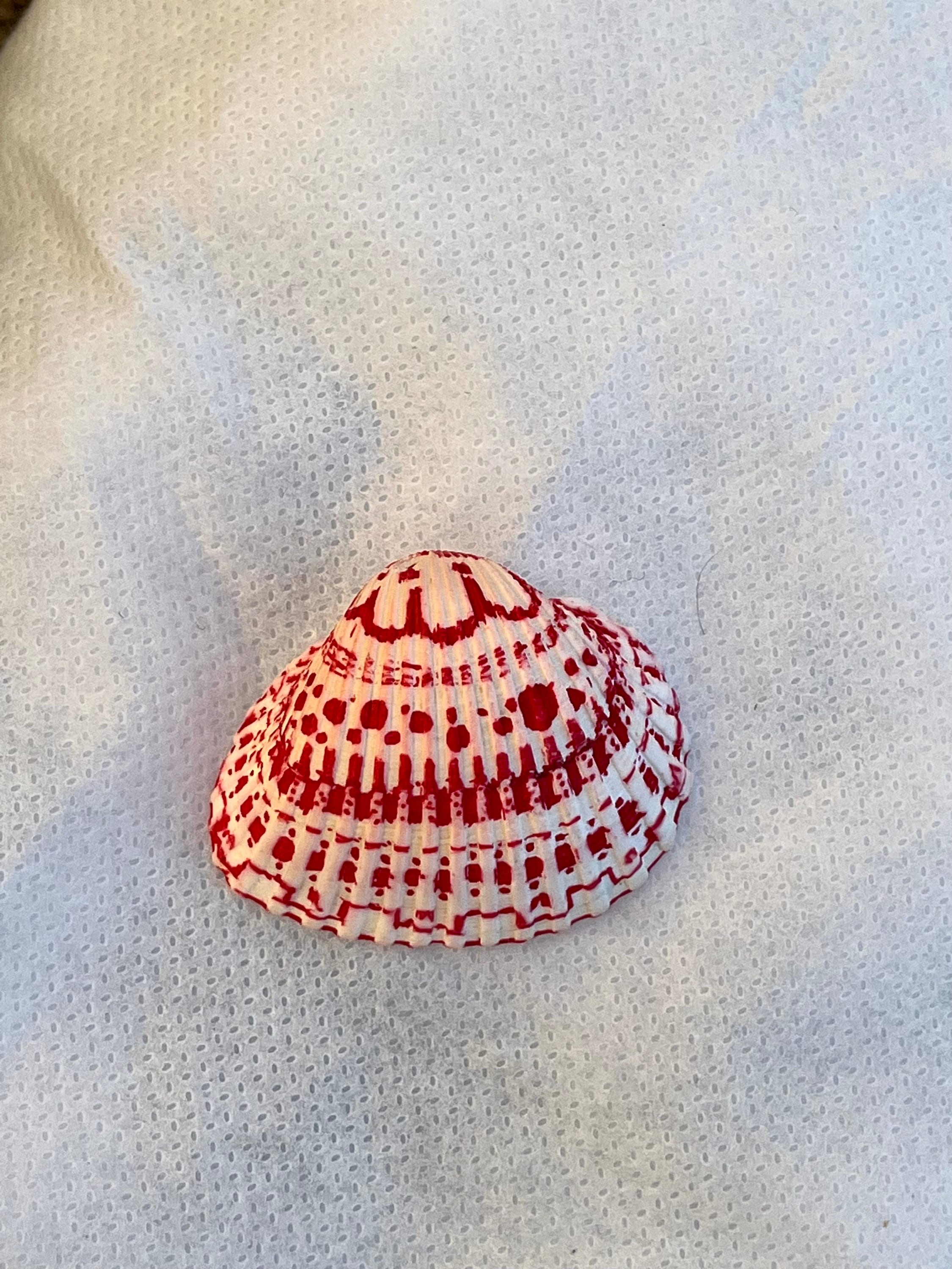 Red Decorated Shell Pendant, Real Seashell Necklace, Red and White Shell Gifts, Ocean Inspired Necklace, Jewelry Gift for Her