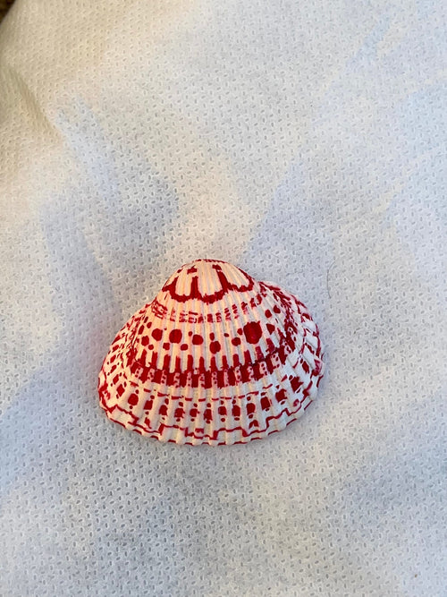Decorated Shell Necklace | Hand Drawn Red Seashell Pendant