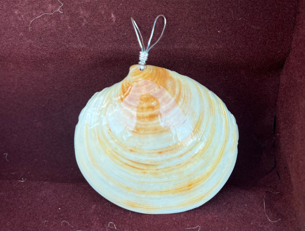 Shell Necklace | Minimalist Seashell Pendant