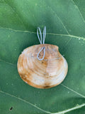 Shell Necklace | Minimalist Seashell Pendant