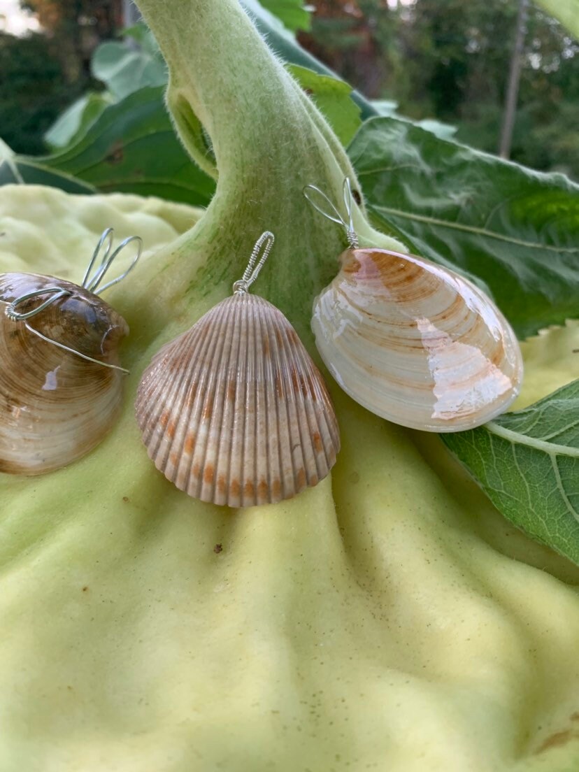Shell Necklace | Minimalist Seashell Pendant