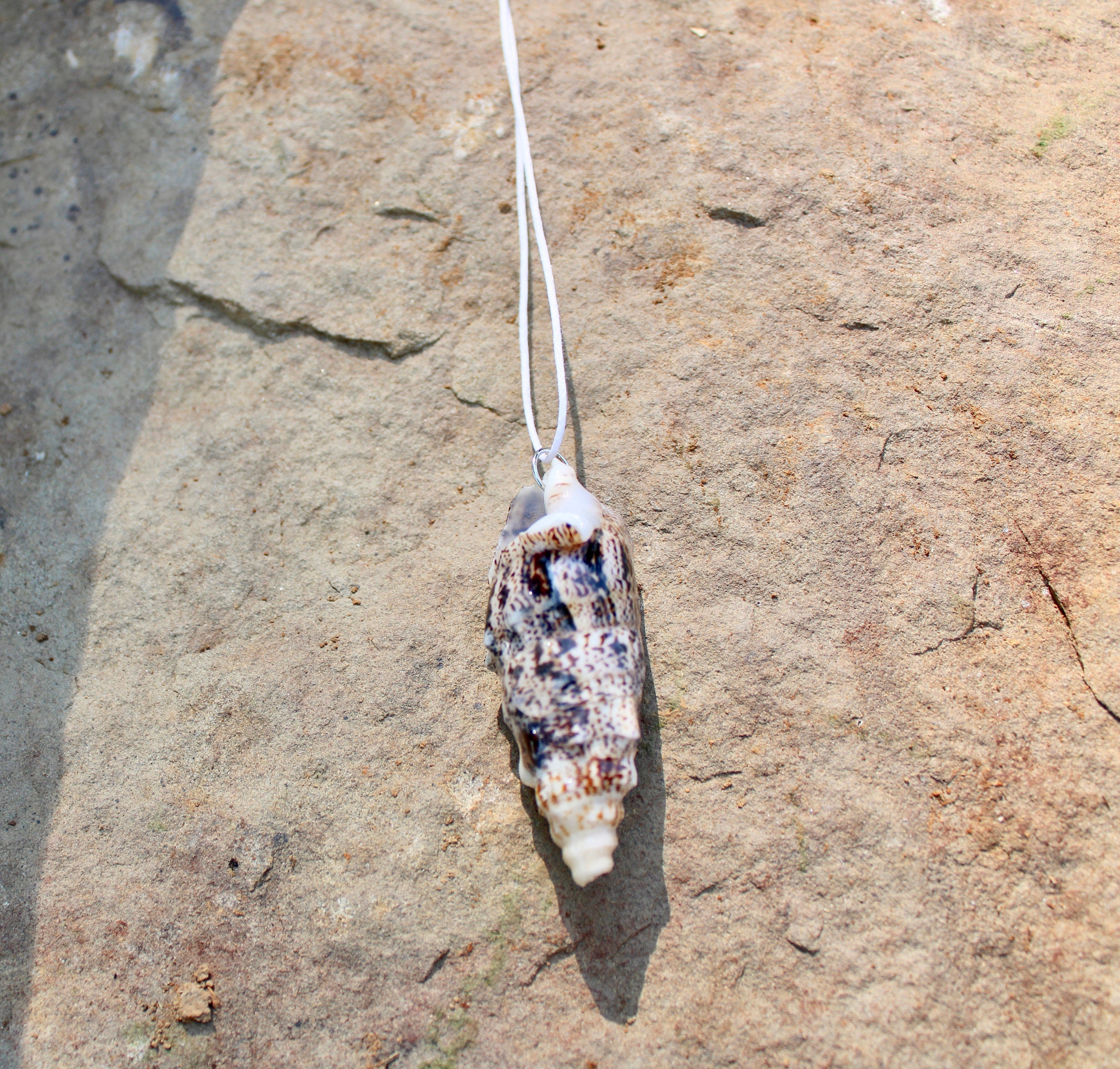 Bat Volute Shell Pendant Necklace, Intricate Pattern Seashell Jewelry, Bridesmaid Gifts, Beach Wedding, Gift for Beach Lover, Boho Style