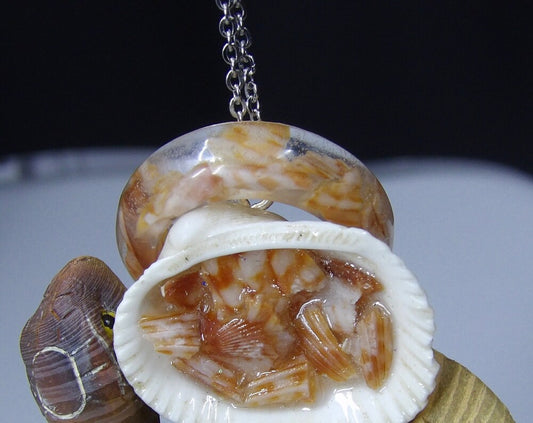 Shell Necklaces, Seashells and Resin Pendant Necklaces