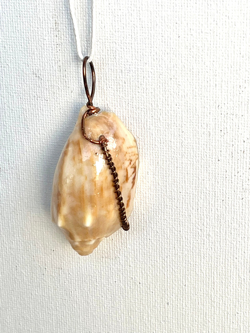 Shell pendant with brown wire on a white background