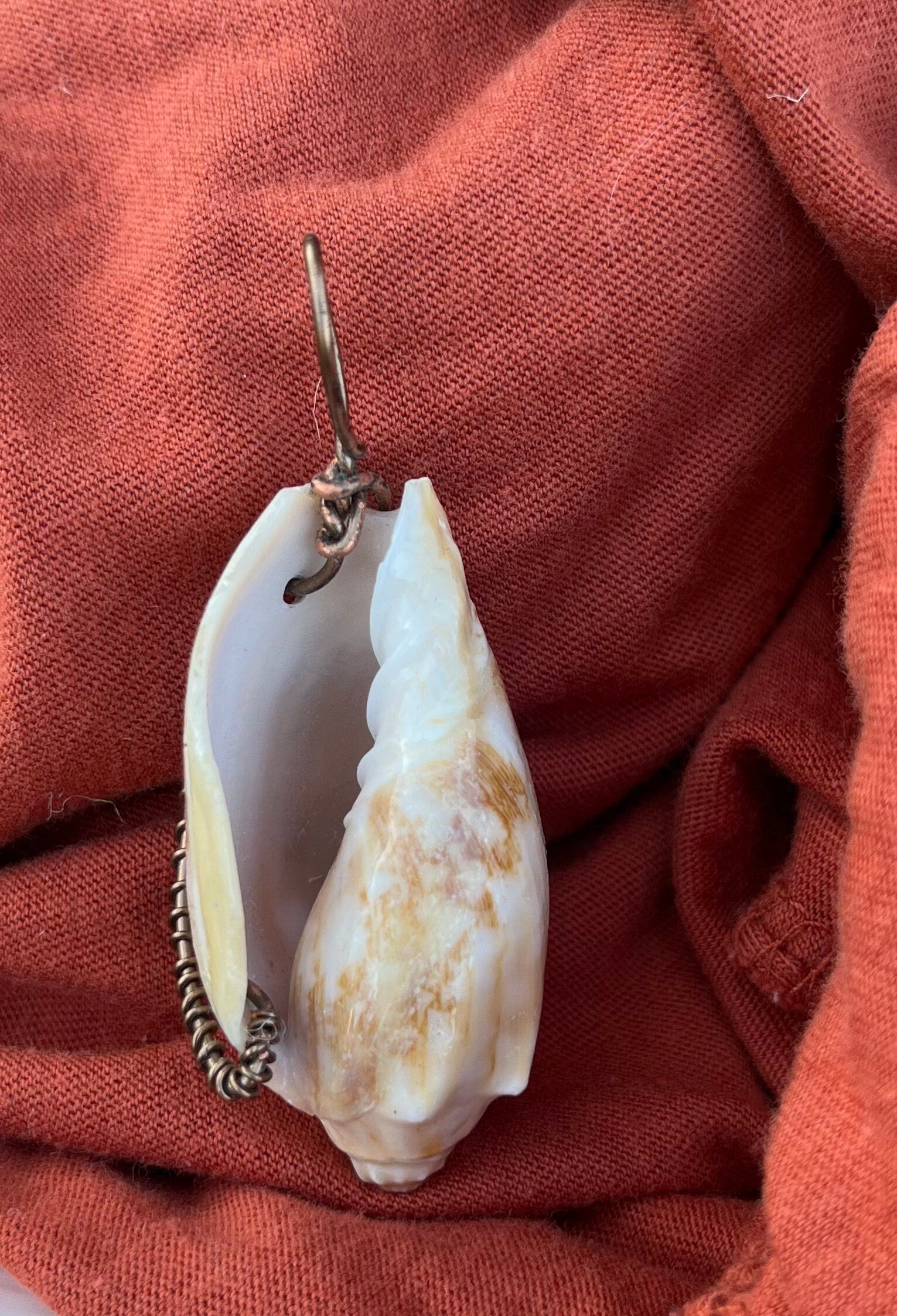 Shell pendant on a chain against a red fabric background