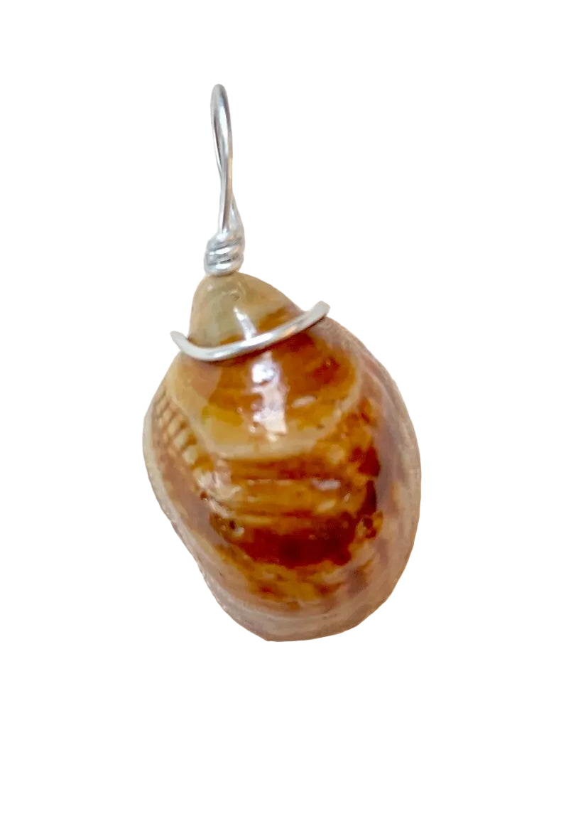 Brown teardrop-shaped shell pendant with silver wire wrapping on a white background