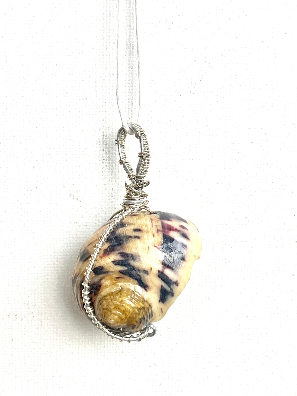 Shell pendant with wire wrapping on a white background