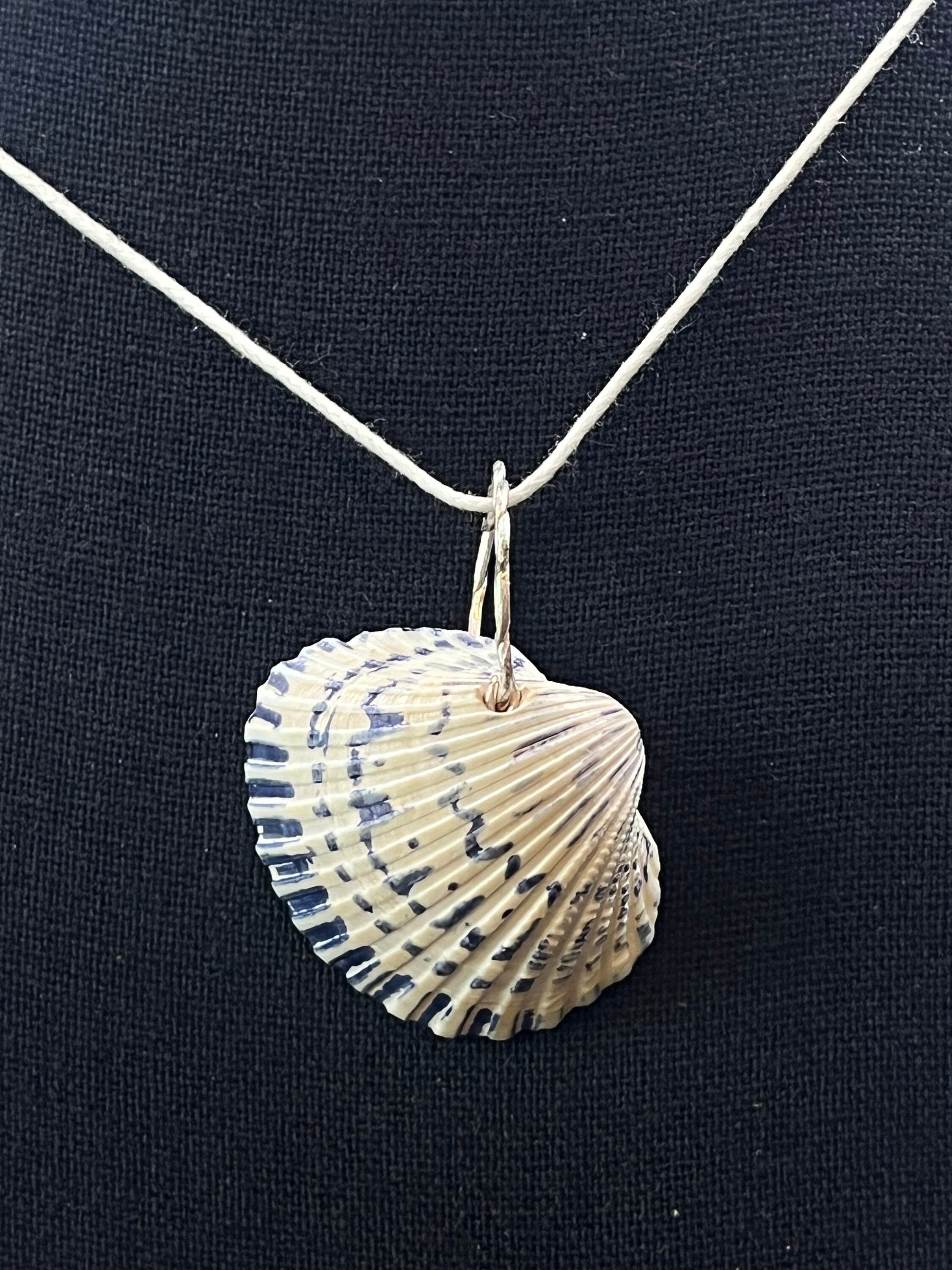 Shell pendant necklace on a black background
